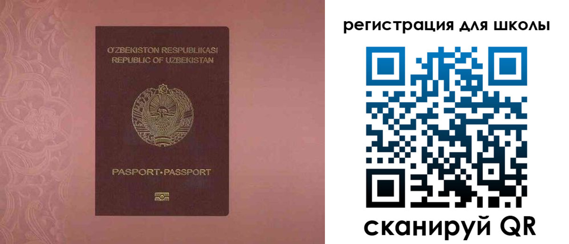 прописка для школы в Полярных Зорях