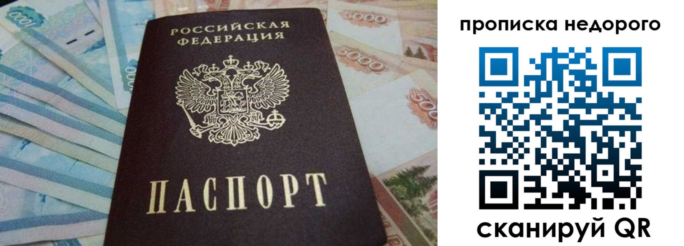 временная регистрация поиск в Полярных Зорях